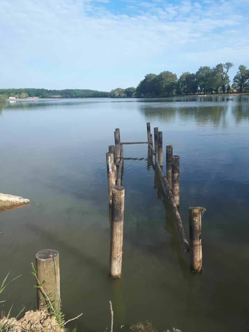 Balade Mesnard-la-Barotière lac de la Tricherie - Mesnard-la-Barotière