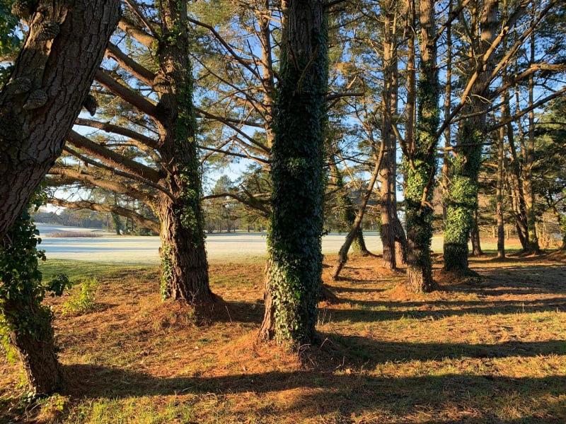 Du golf au golfe - Baden