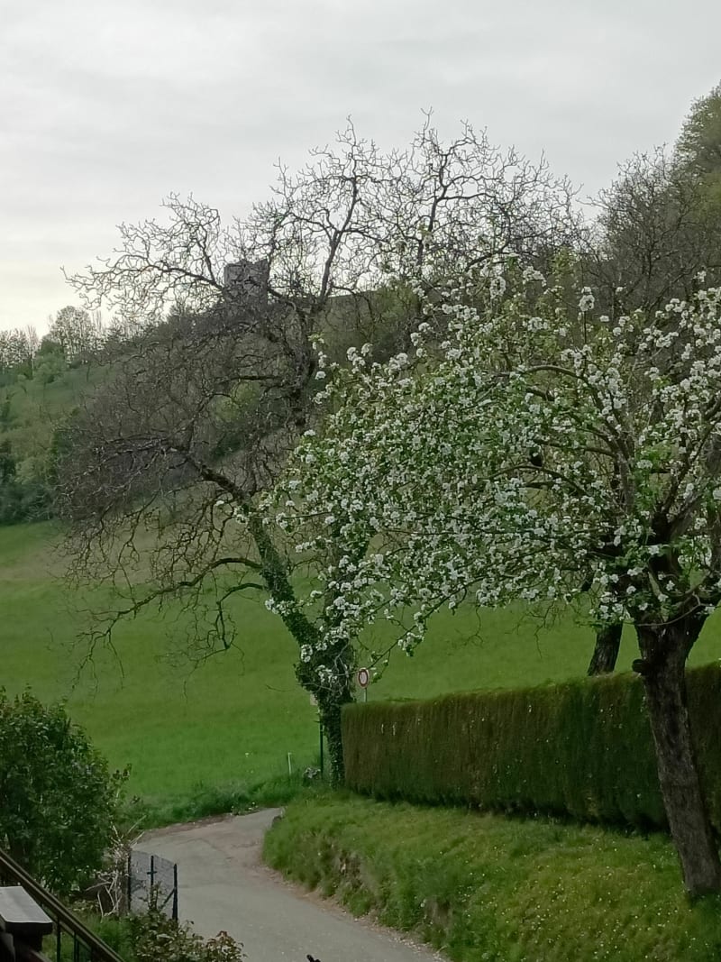 Petite boucle aux Adrets en partant de Laval-en-Belledonne - Laval-en-Belledonne