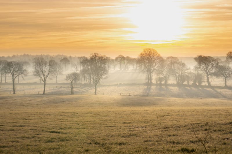 Balade dans les champs de Garennes sur Loire - Les Garennes sur Loire