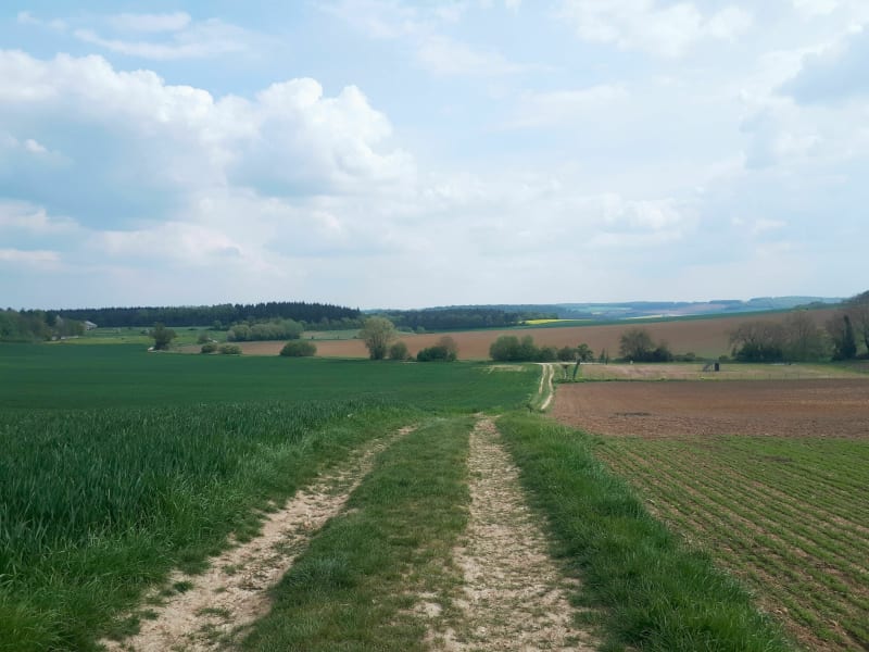 Boucle Dangu Noyers - Dangu