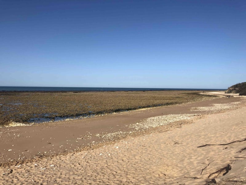 Petite boucle terre-mer à Dolus-d'Oléron - Dolus-d'Oléron