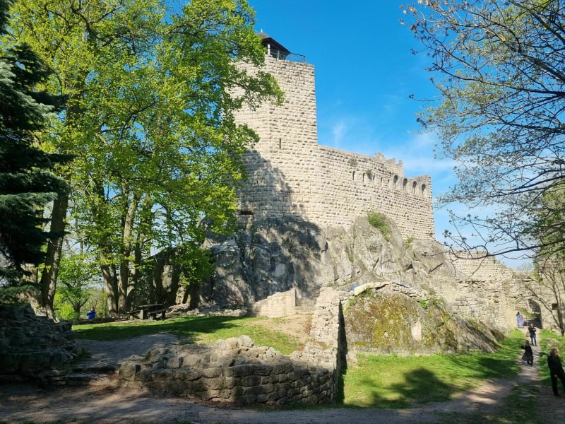 Randonnée de Dambach-la-ville au château du Bernstein - Dambach-la-ville