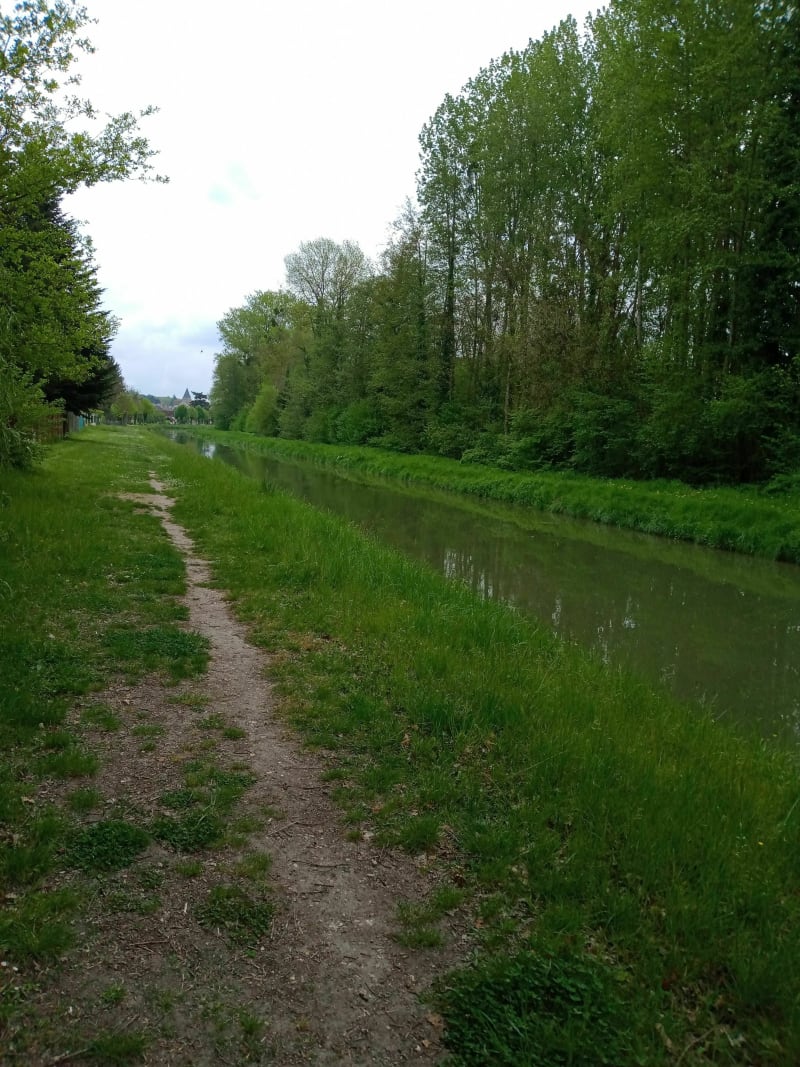 Randonnée VTT à travers la forêt - Villefranche-sur-Cher