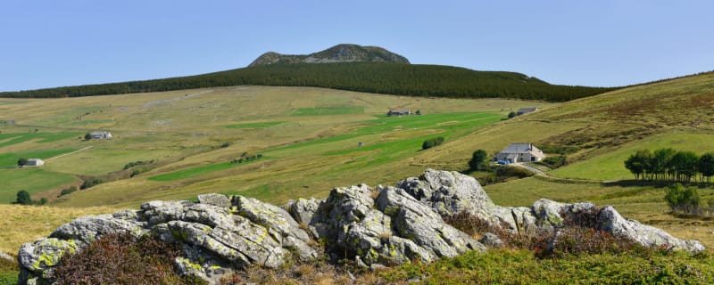 Boucle forestière autour du Mont Mézenc - Les Estables