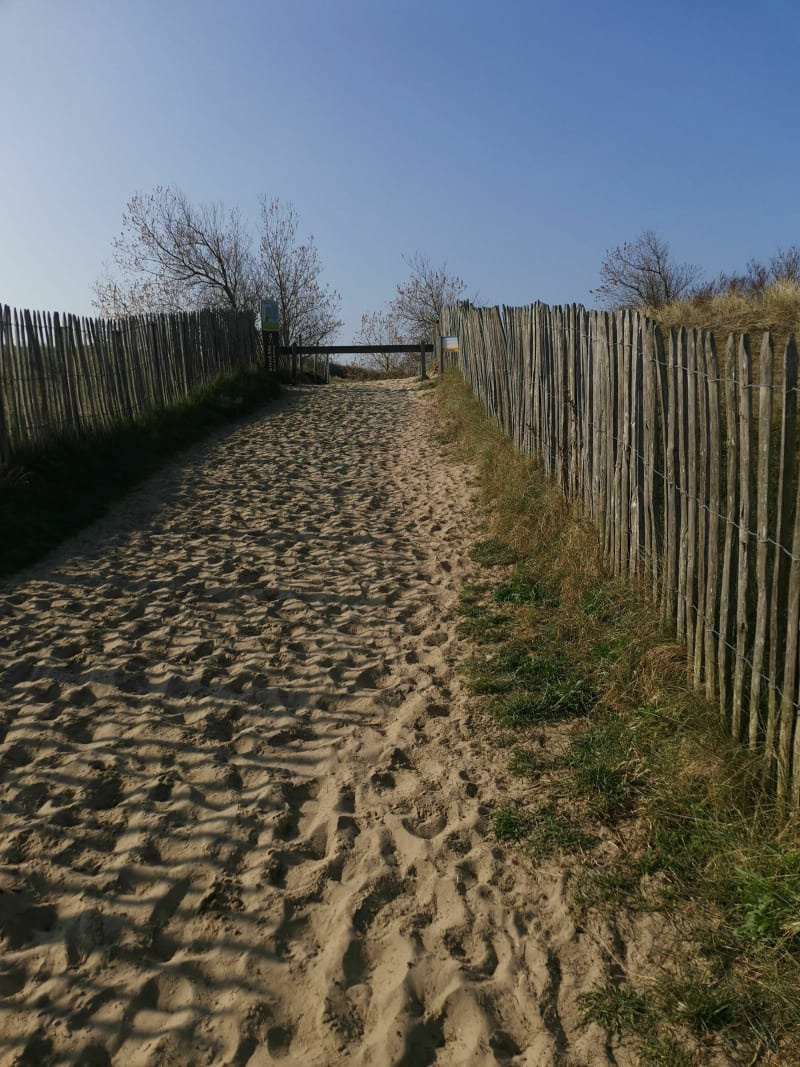 Balade dans les dunes- Sentier du Royon - Fort Mahon Plage