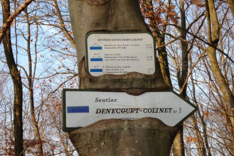 Trail Fontainebleau - Fontainebleau