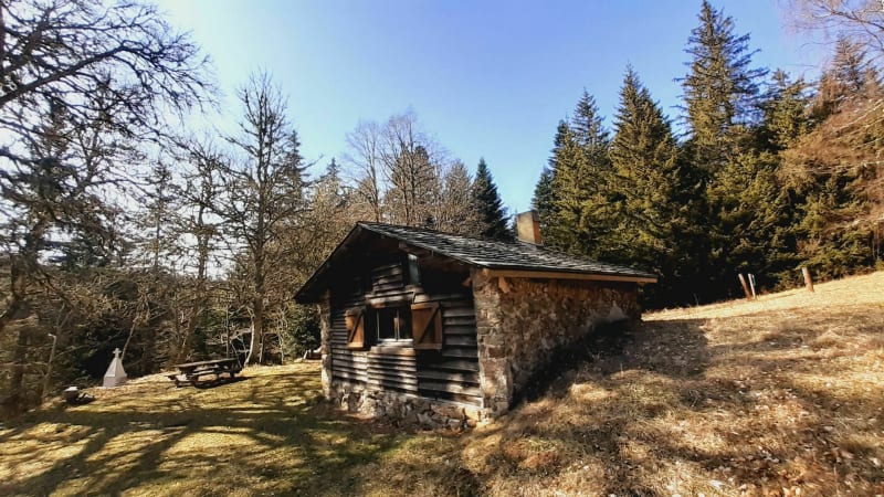 Ontmoet de kabouters in het geheime bos van Mercoire - Cheylard-l'Evêque