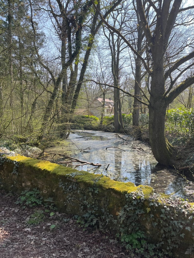 La boucle de Villeneuve Saint-Denis - Villeneuve-Saint-Denis
