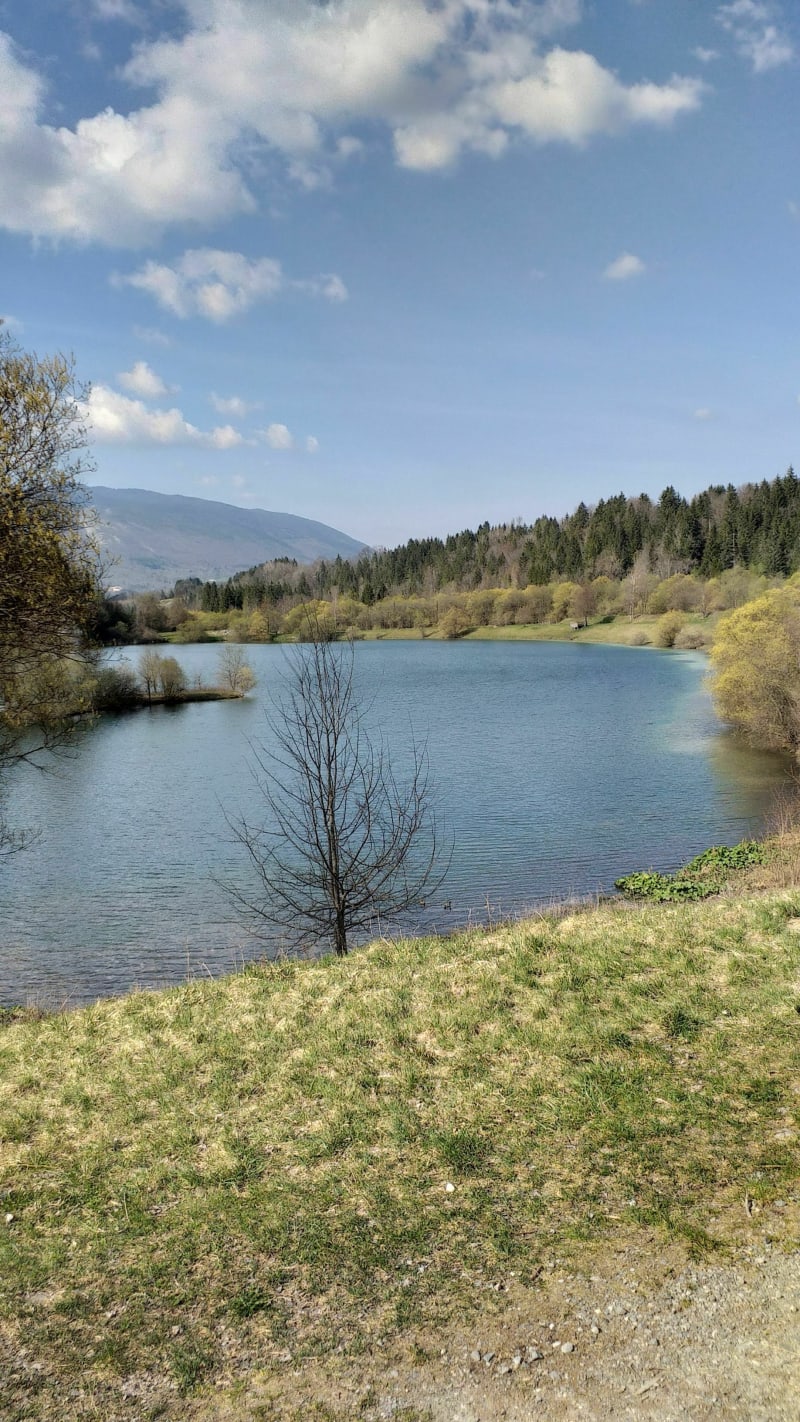 Tour des plans d'eaux de Lescheraine - Lescheraine