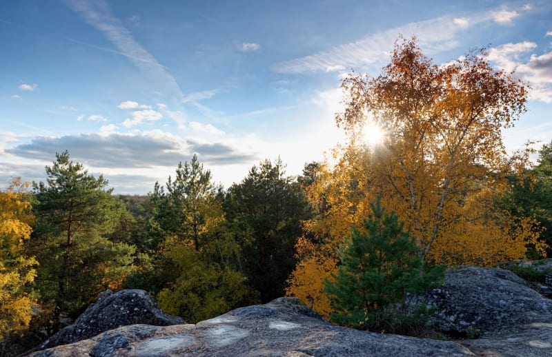 Rando de la Vasselle et Gorges de l'Arzon éblouissantes - Saint-Pierre-du-Champ