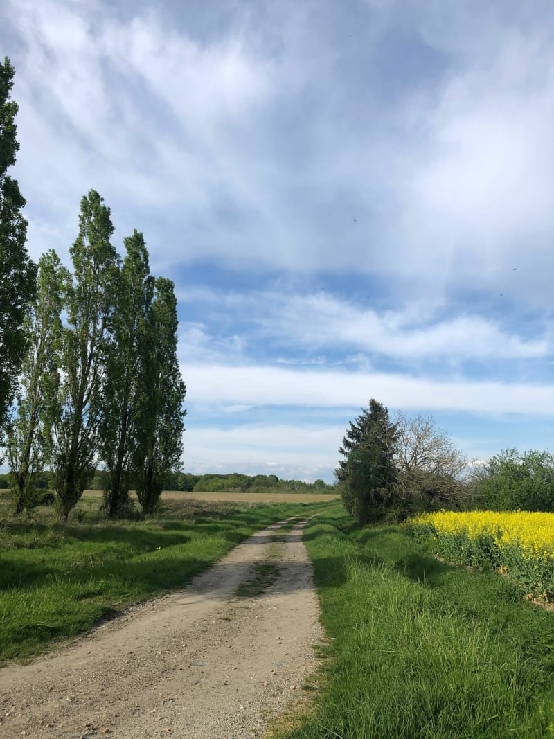Balade dans les champs de Rouvres les bois - Rouvres-les-Bois