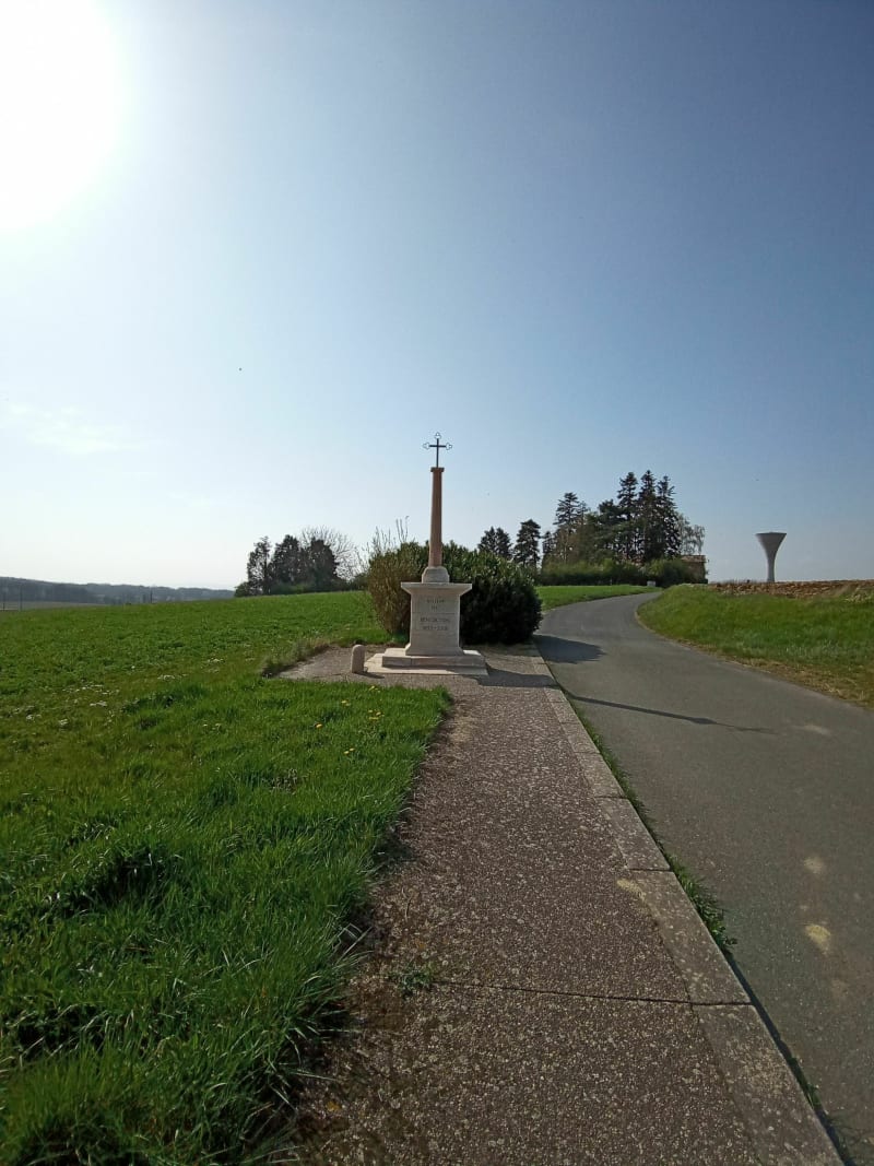 Tour du bois - Rancé