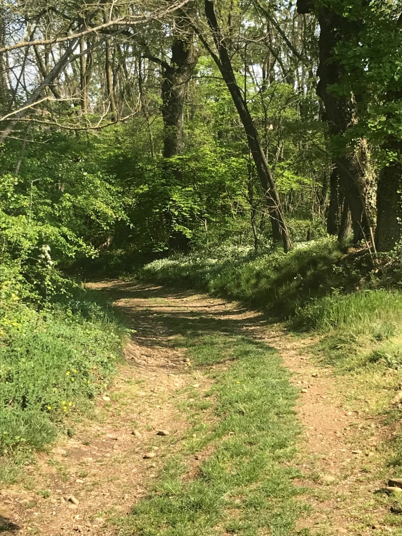 Balade dans les vergers - Clonas-sur-Varèze