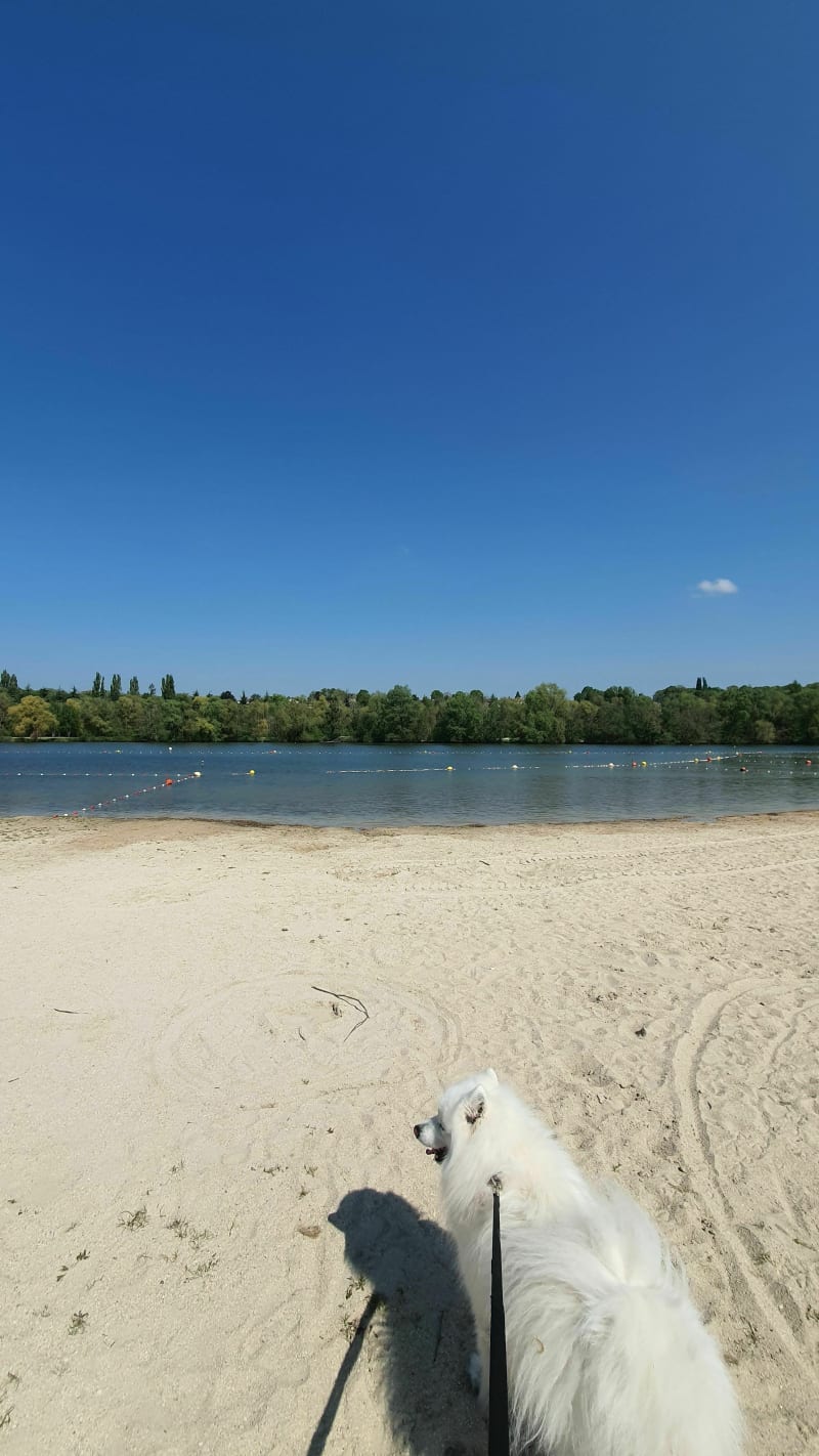 Bords de Seine et base de loisirs de Bois-le-Roi - Bois-le-Roi