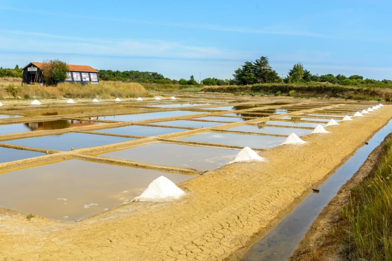 Coup de fouet iodé à vélo autour du Port des Salines - Dolus-d'Oléron