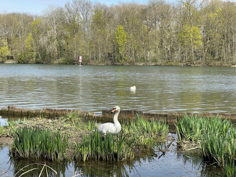 Balade sur les berges de Seine - Ris-Orangis