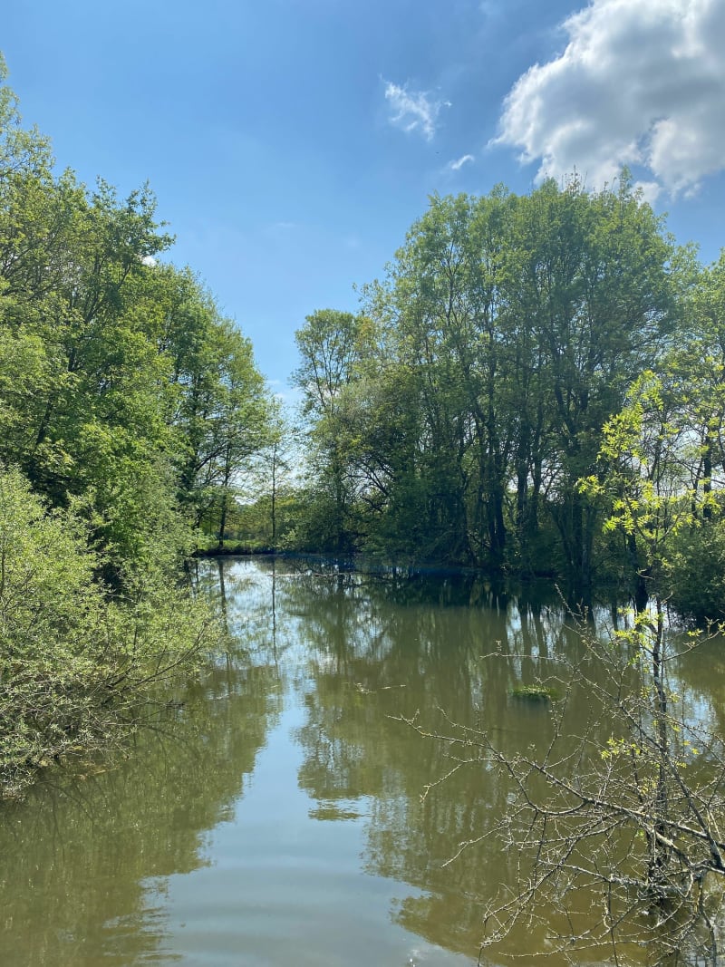 Balade autour du domaine de La Chopinière - Sainte-Cécile