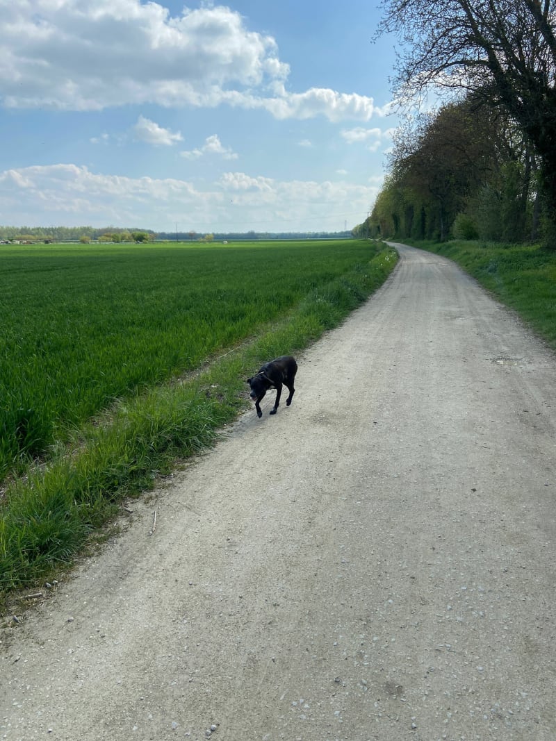 Balade à Couternon - Couternon