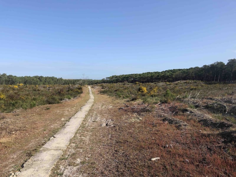 S'évader à vélo en terres Carcanaises - Carcans