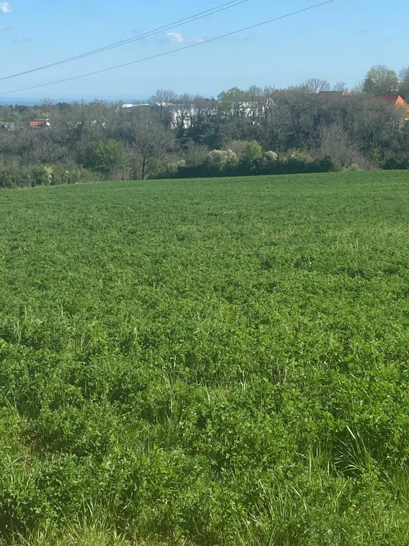 Les chemins d’Ahuy - Ahuy