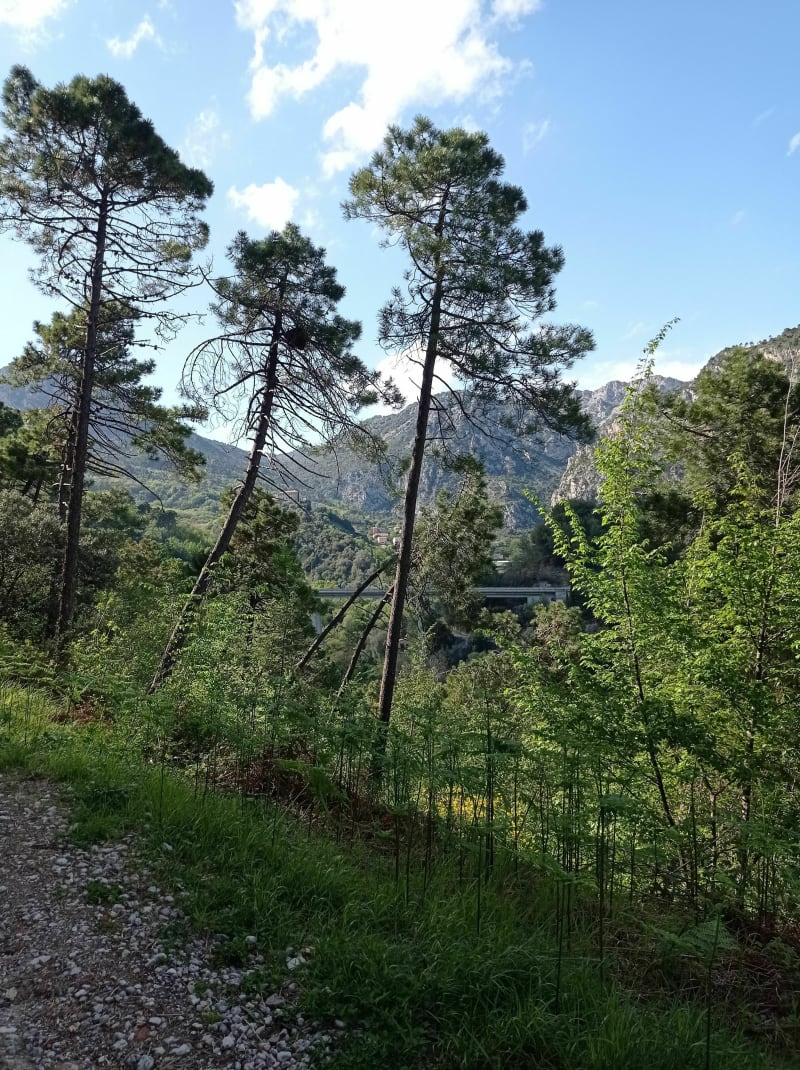 Tour du tennis de Roquebrune, Val Gorbio, Carnoles - Roquebrune-Cap-Martin