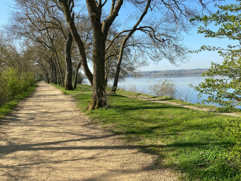 Tour du Lac de Maine - Angers