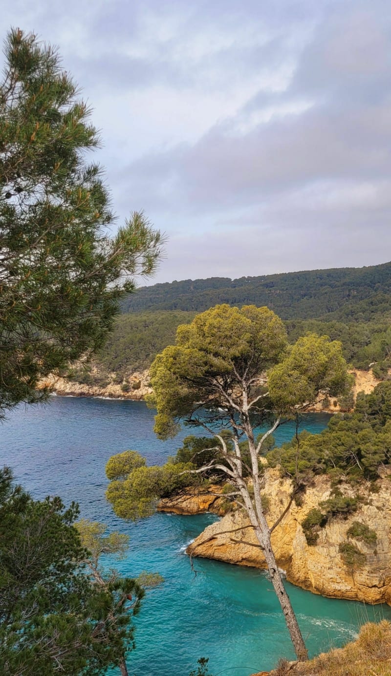 De Saint-Cyr-sur-Mer à Bandol en partant du port d'Alon - Saint-Cyr-sur-Mer