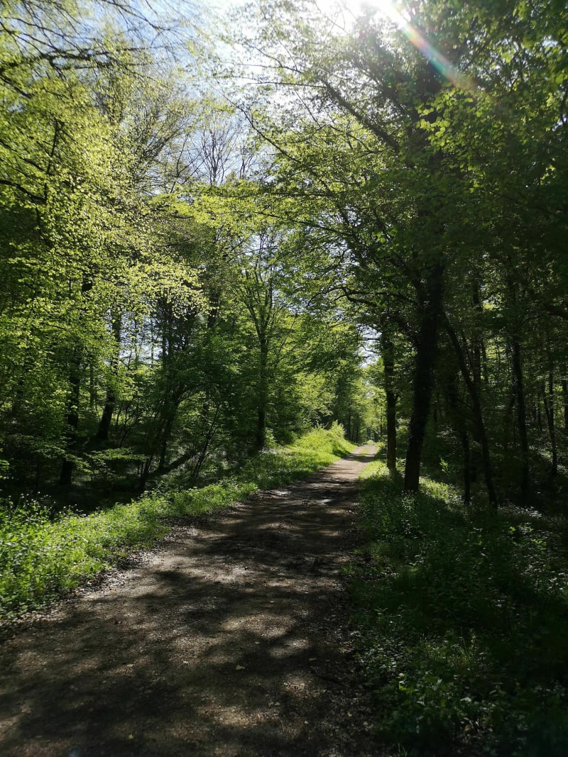 Montferrand-La belle Étoile-Grandfontaine par les bois - Montferrand-le-Château