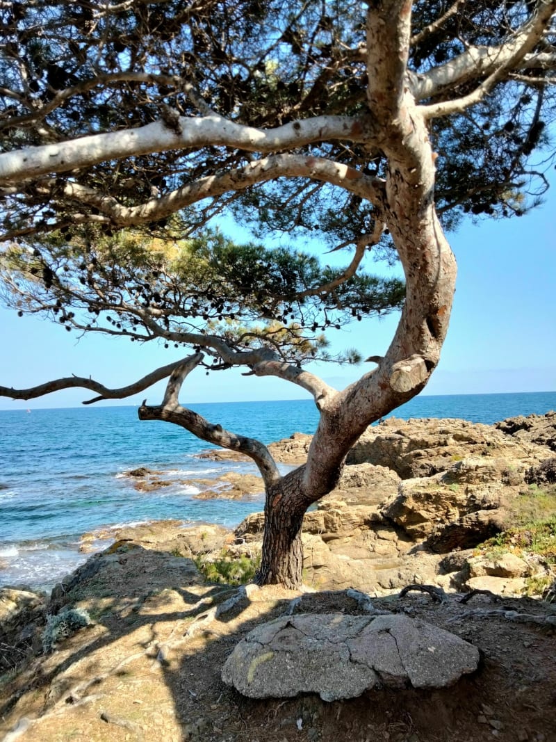 Chemin des douaniers - St Aygulf - Saint-Aygulf,Fréjus