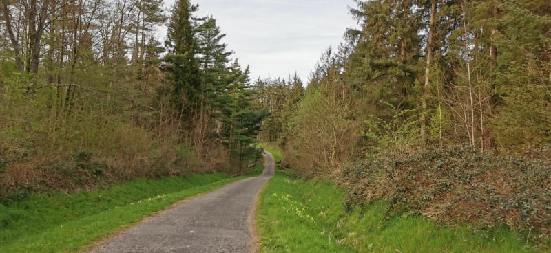 Marche active de Wirwignes au bois - Wirwignes