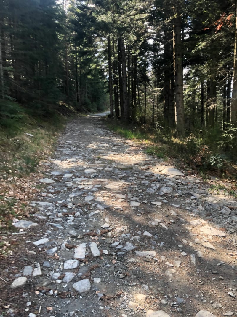 De Soutron au Col de L’Ardéchoise - Arcens