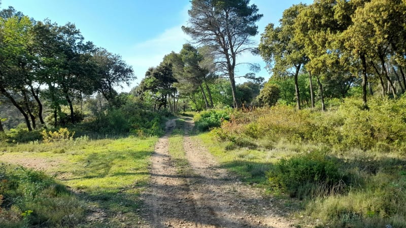 Rando/Trail à Vaucroze-Sorgues - Sorgues