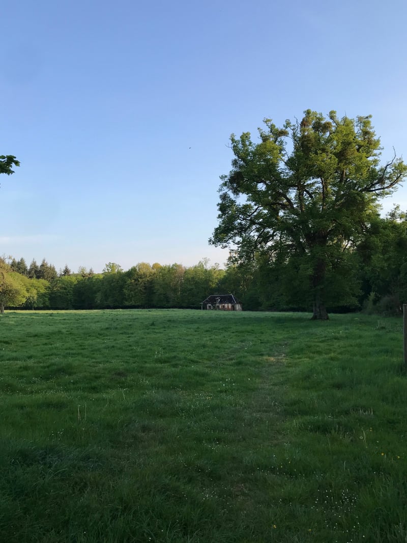Rhodesian Ridgeback Place - Les Monts du Roumois