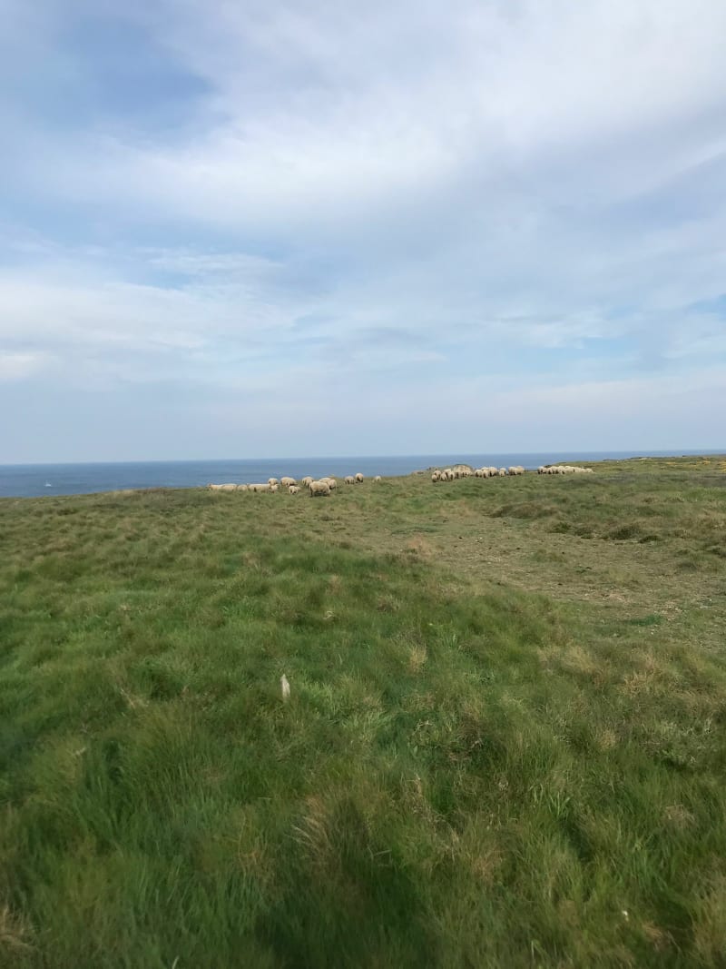 Balade à Belle-Île : de la pointe du Talut à Loc-Maria - Bangor