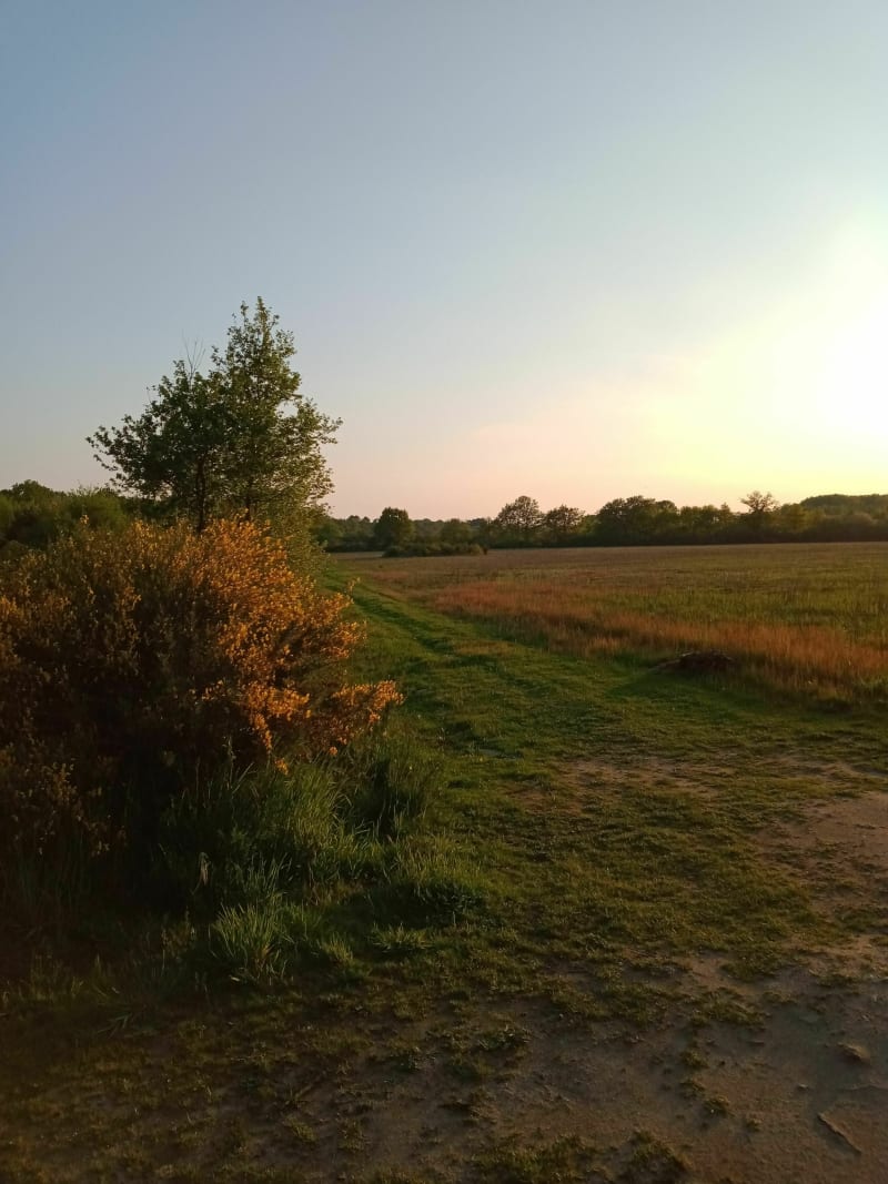 Balade entre ville et forêt - Romorantin-Lanthenay
