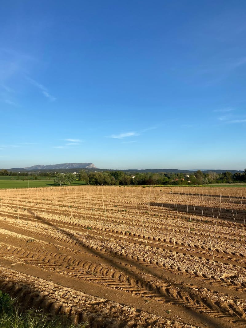 Balade à vélo dans la campagne entre Venelles et Puyricard - Aix-en-Provence