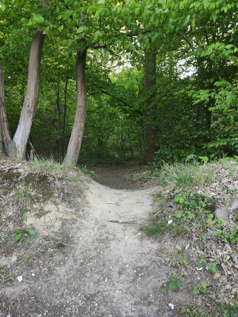 Forêt Canteleu - Canteleu
