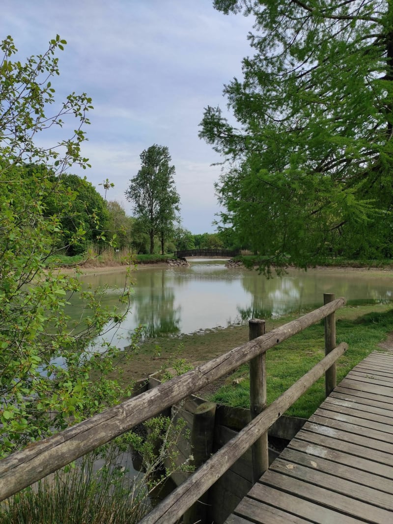 Le chemin des cabanes - Aizenay
