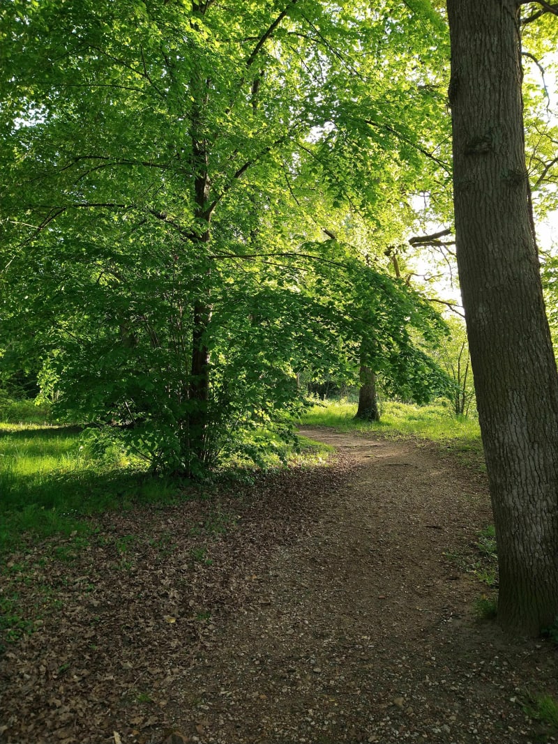 Wandeling in Beauvais Park - Romorantin-Lanthenay