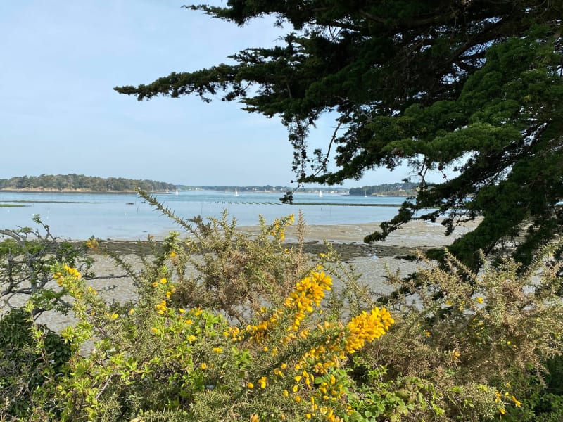 Tour de la pointe d’Arzon - Arzon