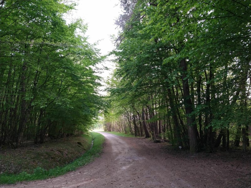 Longueville - Romorantin-Lanthenay