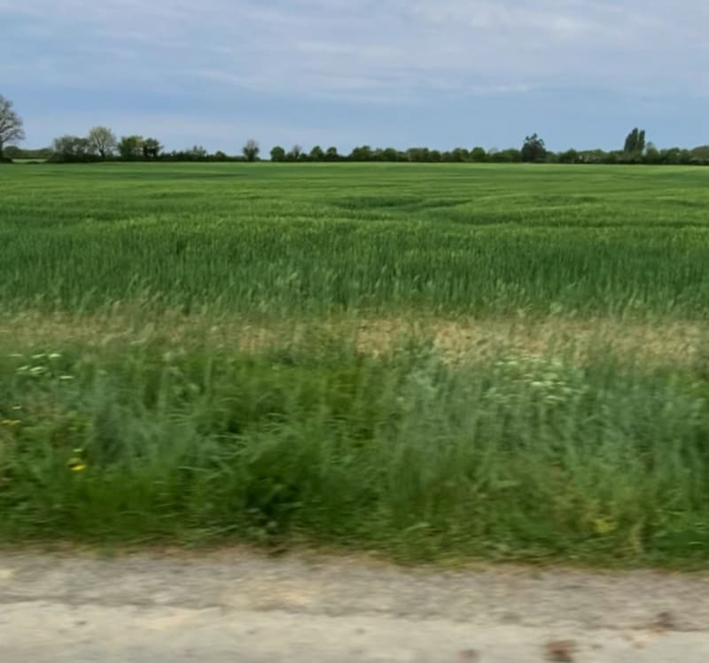 Balade à vélo en terres vendéennes - La Copechagnière