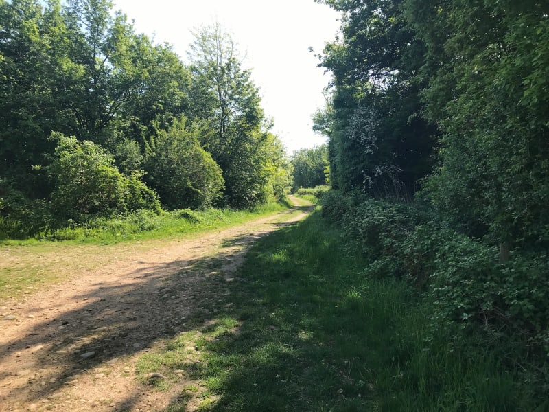 Sur le plateau de Louze - Clonas-sur-Varèze