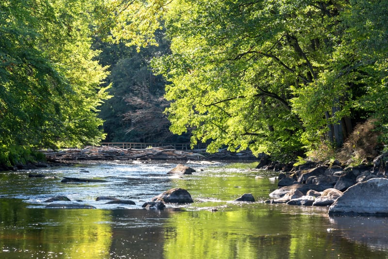 L'Alagnon sur toutes ses rives à pied - Lempdes-sur-Allagnon