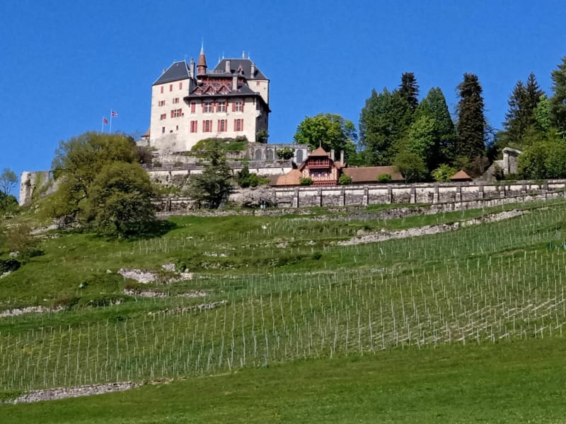 Château de Menthon Saint Bernard / Buffly - Menthon-Saint-Bernard
