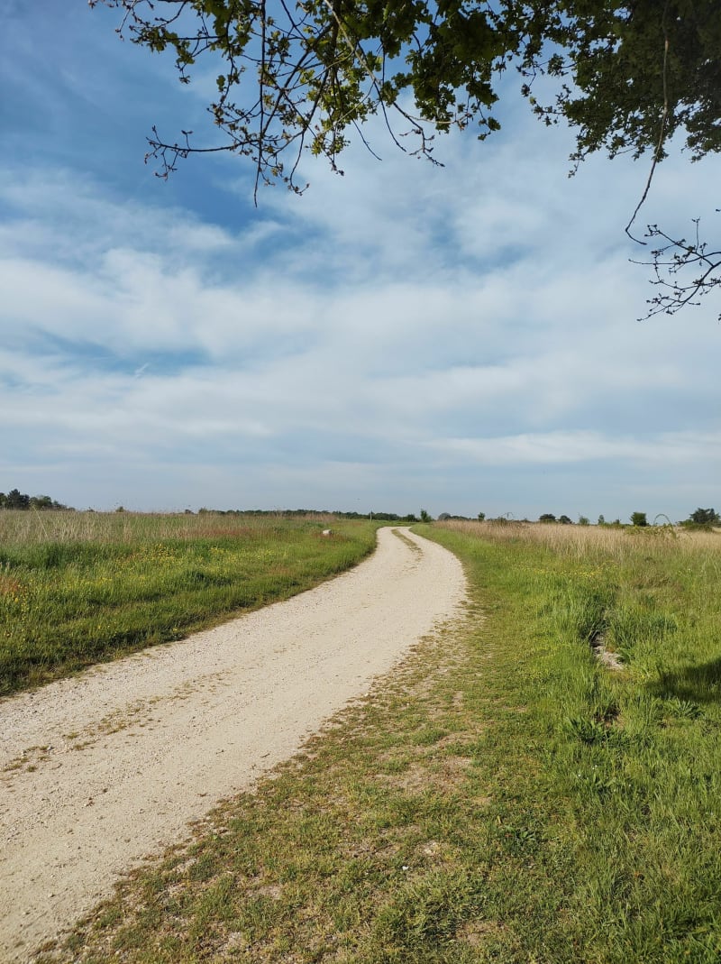 Parcours des Groslières - Vienne-en-Val