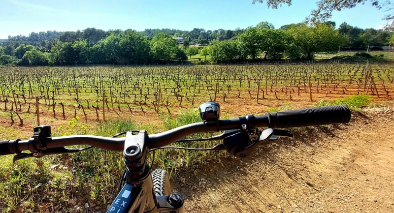 VTT dans les Vignes - Draguignan