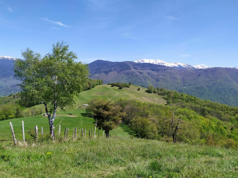 Hauteur de Jarrie - Montchaboud - Mont Rolland - Jarrie