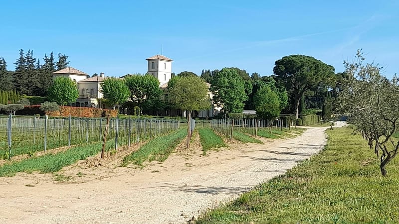 Coline Vaucroze et Vignobles à Sorgues - Sorgues